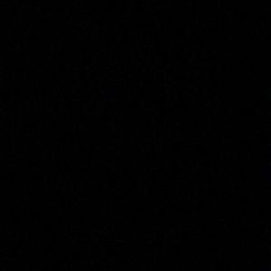 Meet your Posher, Phoenix